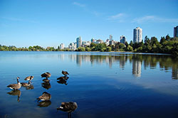 Le parc de Stanley à Vancouver au Canada