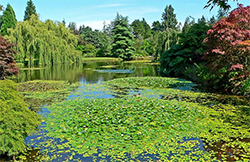 Jardin de VanDusen Canada