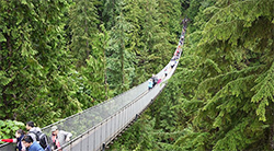 Pont suspendu de Capilano au Canada